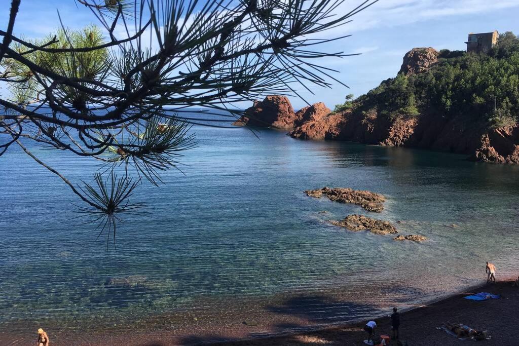 "Les Alizes" Cote Piscine Proche Bord De Mer Saint-Raphaël Exterior foto
